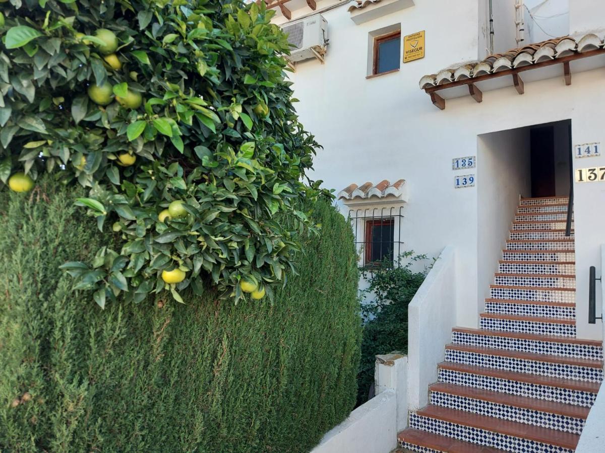 Bebi Casa Apartment Torrevieja Dış mekan fotoğraf