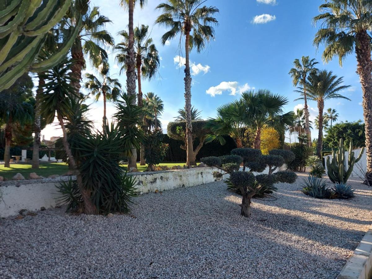 Bebi Casa Apartment Torrevieja Dış mekan fotoğraf