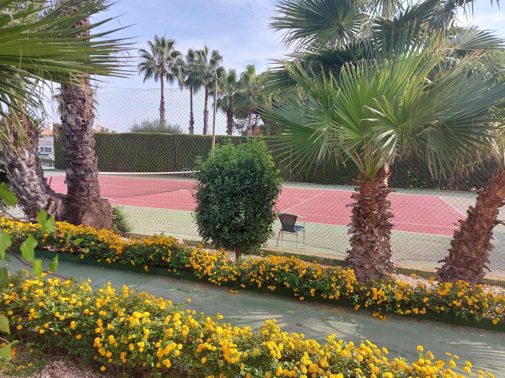 Bebi Casa Apartment Torrevieja Dış mekan fotoğraf