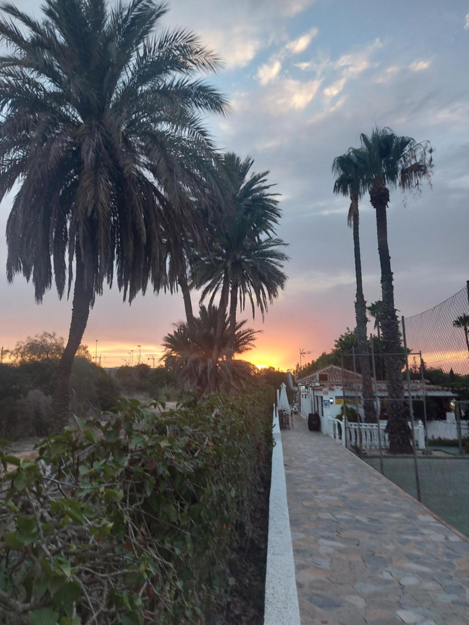 Bebi Casa Apartment Torrevieja Dış mekan fotoğraf